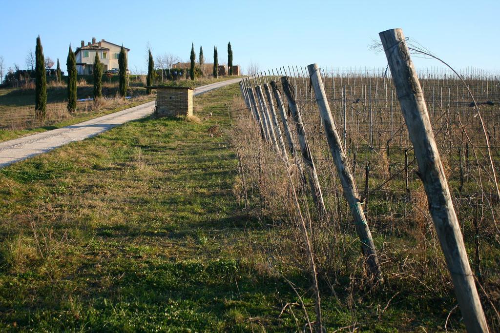 Recchi Franceschini Bike Hotel Last - Minute - Availability Montalto delle Marche Kültér fotó