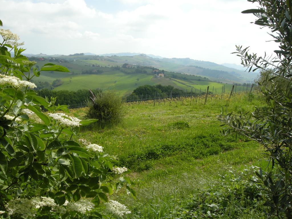 Recchi Franceschini Bike Hotel Last - Minute - Availability Montalto delle Marche Kültér fotó