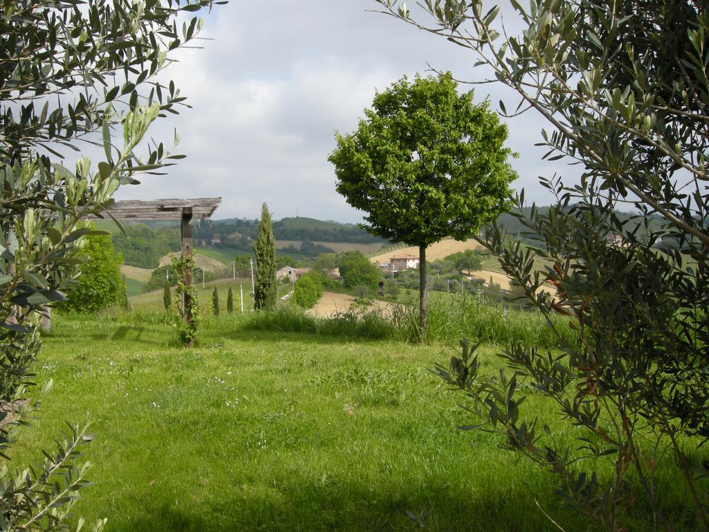 Recchi Franceschini Bike Hotel Last - Minute - Availability Montalto delle Marche Kültér fotó